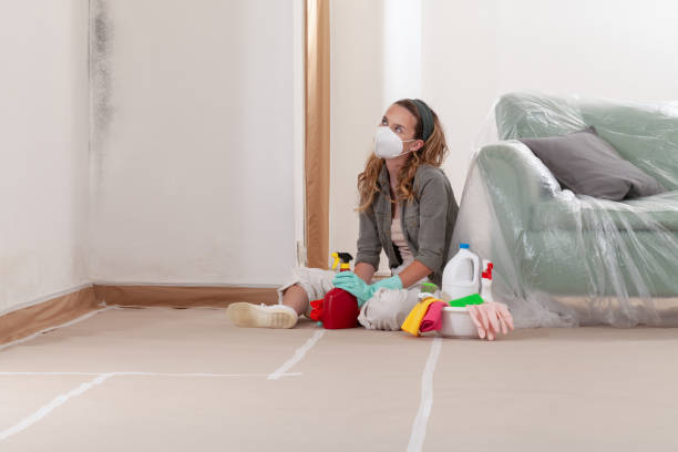 Reliable Mold Remediation contractor in Waltham, MA by WQB Mold Removal